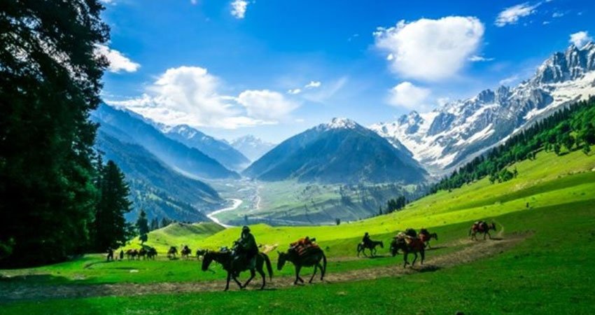 Kashmir The Paradise Tour Package